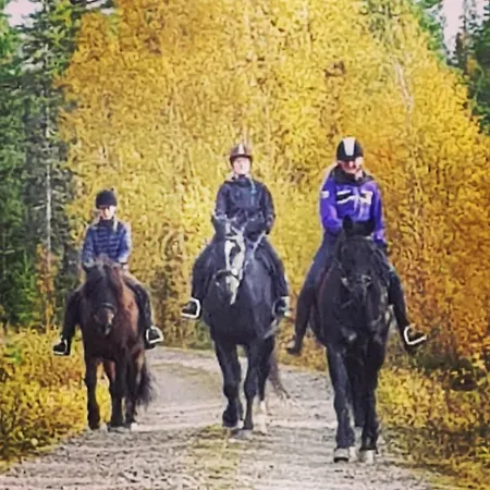 Lauvasen Gard - Hytteutleie Lodge *